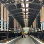 WhatsApp Image 2025-10-22 at 23.27.02 (1)